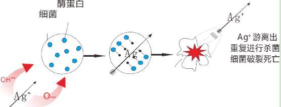 乐鱼体育三层纳米抗菌水管有效吗？配图解原理，99.99%抗菌率不是盖的！