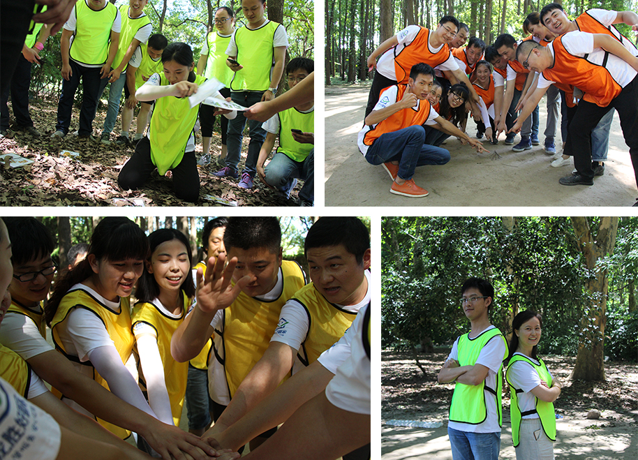 乐鱼体育在线（中国）官方登录入口拓展训练燃爆夏日，我们“激情不减，活力无限”