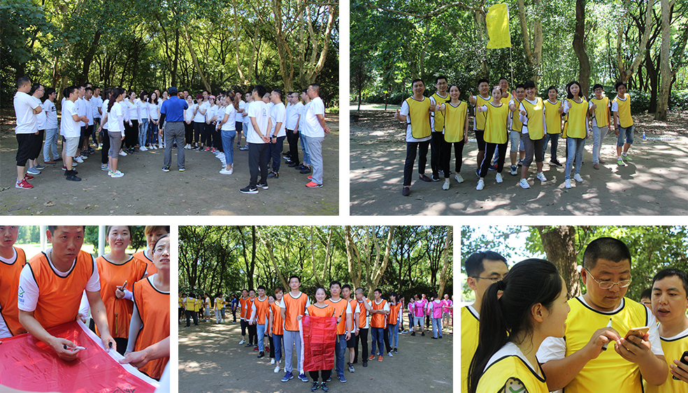 乐鱼体育在线（中国）官方登录入口拓展训练燃爆夏日，我们“激情不减，活力无限”