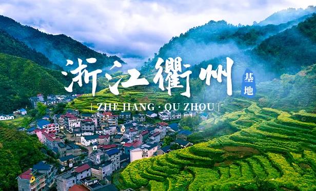 衢州ppr水管加盟代理哪个品牌好？选择国产还是进口品牌？